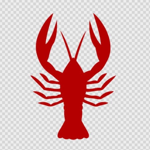 Nolensville Crayfish - Nolensville Youth Football tournament