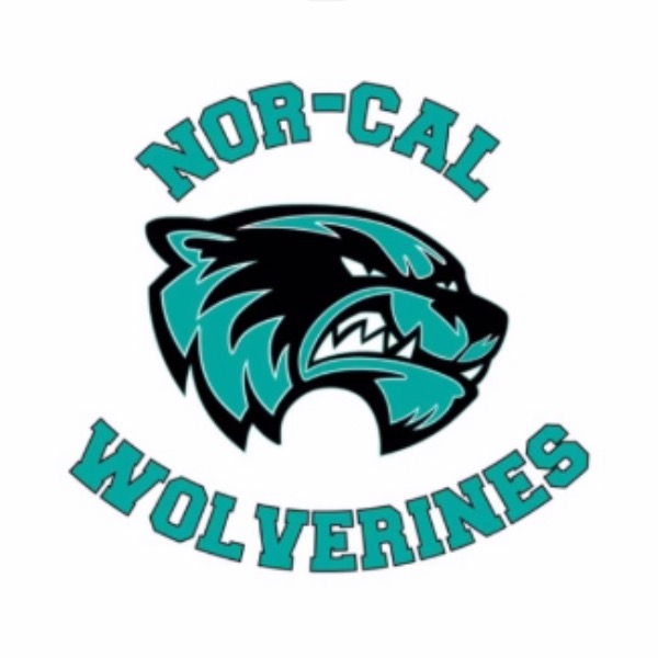 NorCal Wolverines - VARSITY 14U Cheer