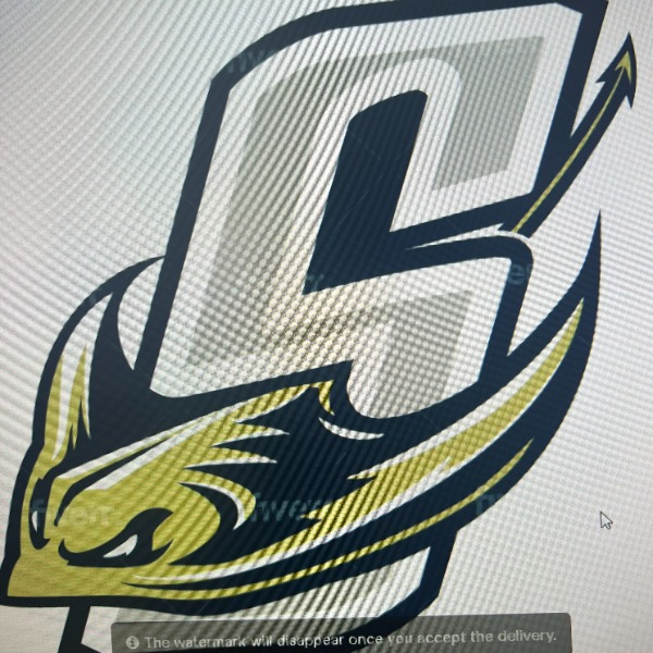 Jersey Shore Stingrays 14U