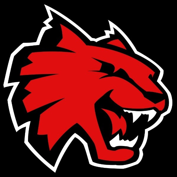 Elite Las Vegas Wildcats 10U F23