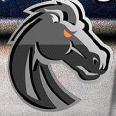 Palmetto Stampede White