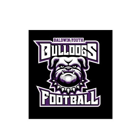 Baldwin Bulldogs 14U Girls