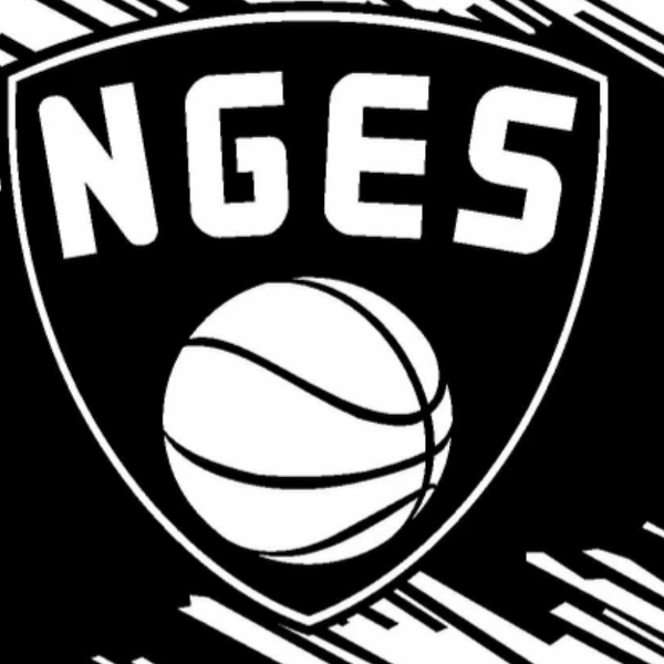 North Georgia Elite Sports Travel