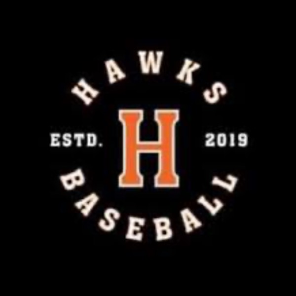HV Hawks 12u NE