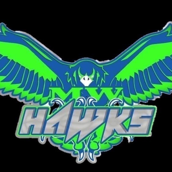 Midwest Hawks 12u aka 50boyz