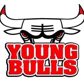 Young Bulls 2030