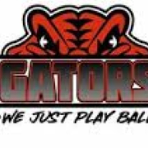 Steel City Gators 2024 14U
