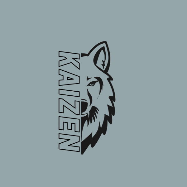Team Kaizen