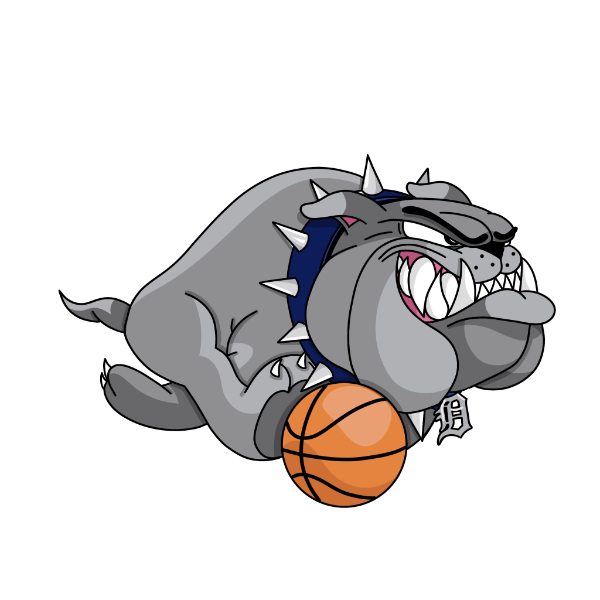 Detroit Bulldogs 17u