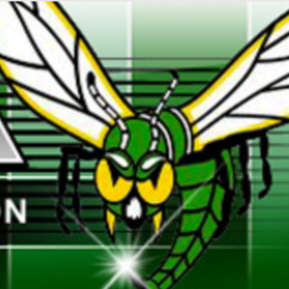 Edina Hornets
