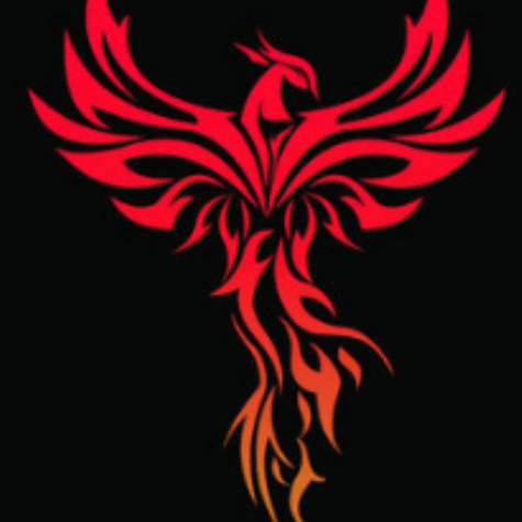 Team Phoenix