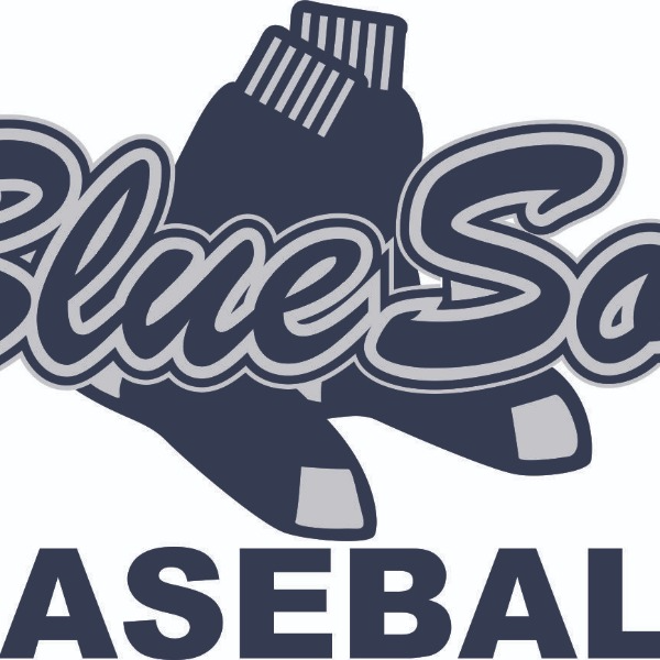 Lake Shore BlueSox 10U