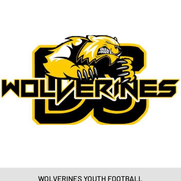 Wolverines 10U F23