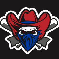 Roxborough Rebels 14U