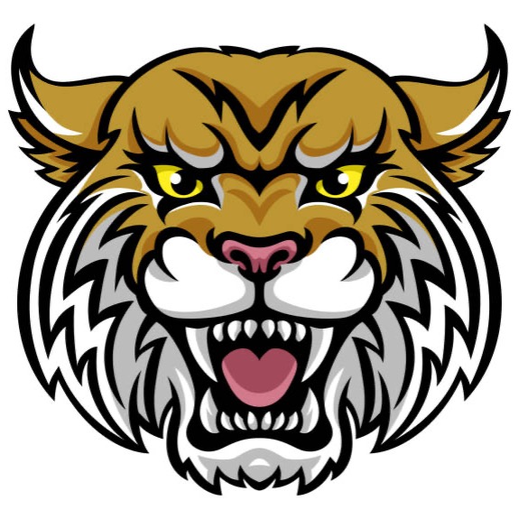 Brawley Wildcats - 12u