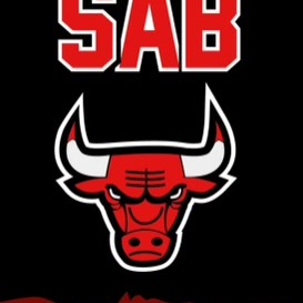 SOUTH ATLANTA BULLS