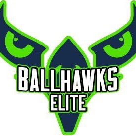 NS Ballhawks Elite