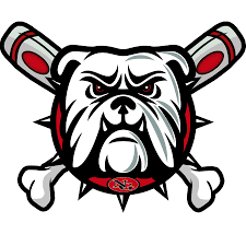North Gwinnett Bulldogs