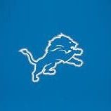 DETROIT LIONS
