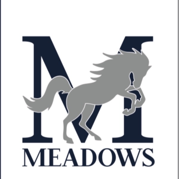 Meadows Blue A Nelson MS JV Boys