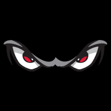 Arlington Storm Black 11U