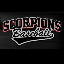 Scorpions Team Houston