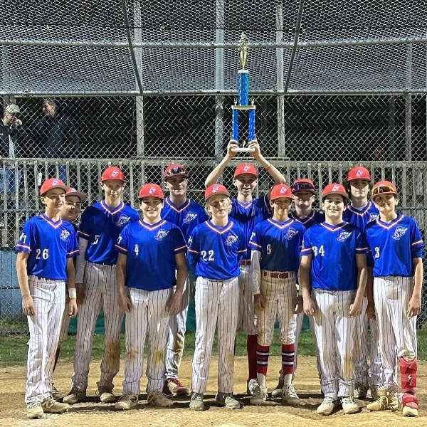 Washington Township 14U Blue