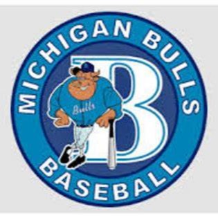 Michigan Bulls 11u