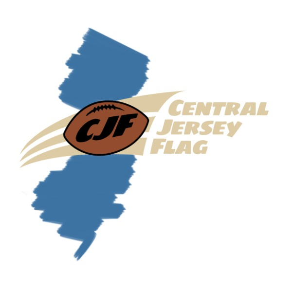 Central Jersey Storm 10u (not this one )