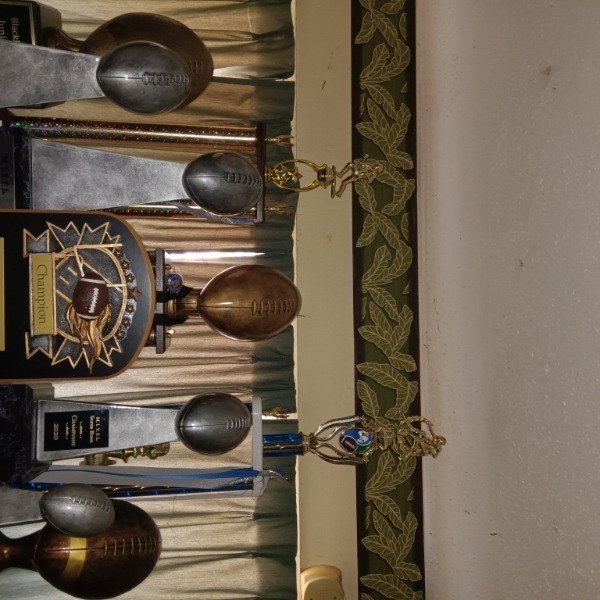 Semmes Vikings 11U Tournament Team