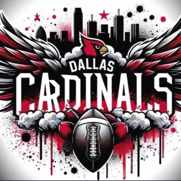 Dallas Cardinals Flag 5u 24-25