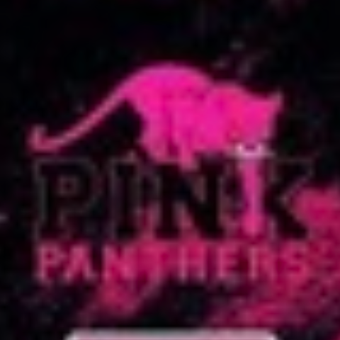 Spring Hill Pink Panthers