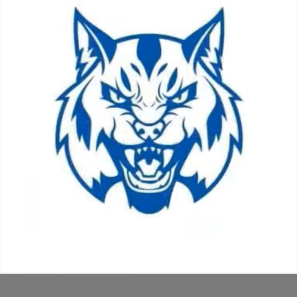 Wildcats Youth Football 8u