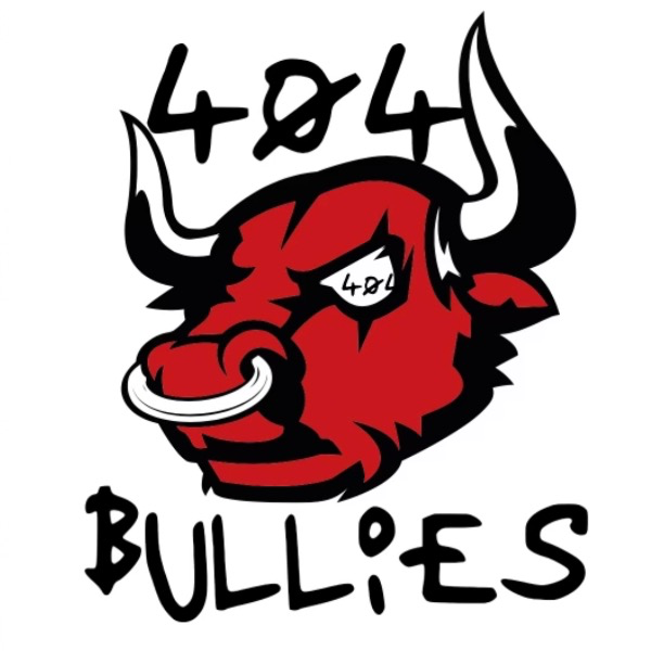 404 Bulls 6u 2024
