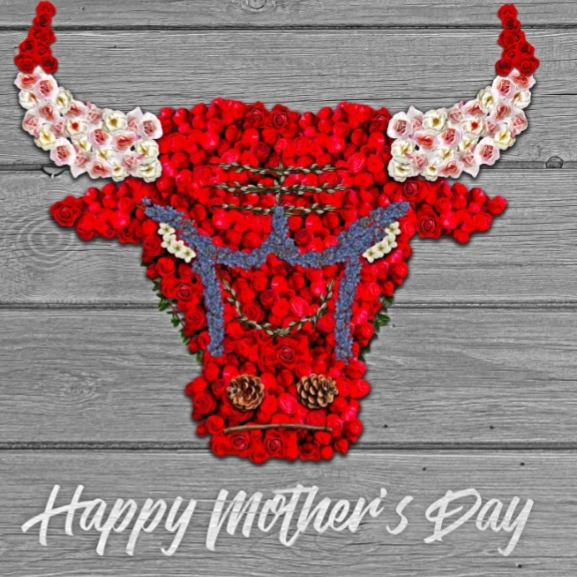 Louisiana Bulls Select