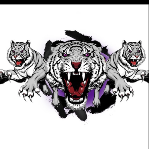 Adamsville 12U #Jackboyz