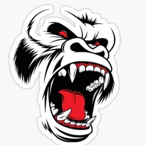 Maricopa Rampage 13u