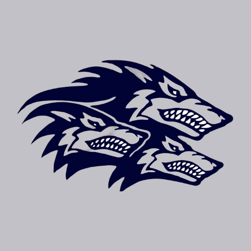 Northtown Wolfpack 13U F25