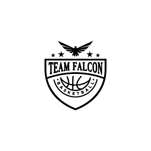 Team Falcon 2029