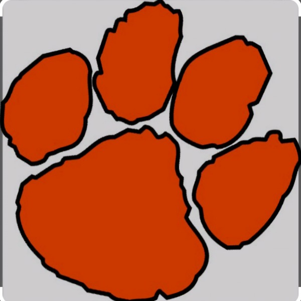 Lakewood Tigers 4th grade