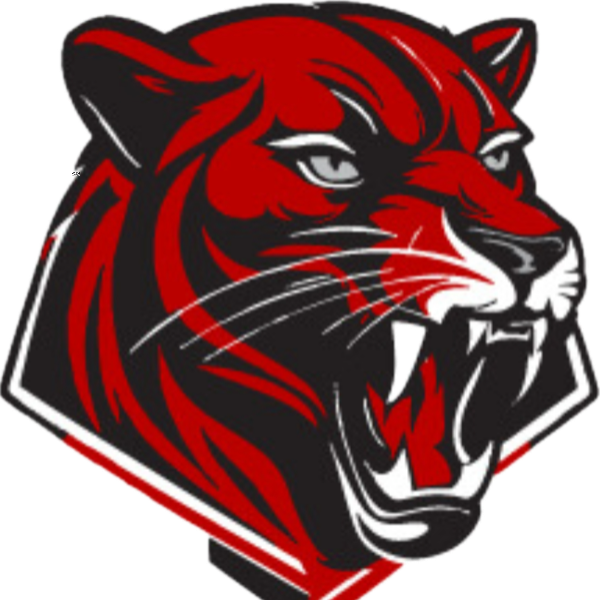 Mill Creek Cougars 10U