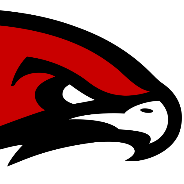 Illinois Hawks 14u White