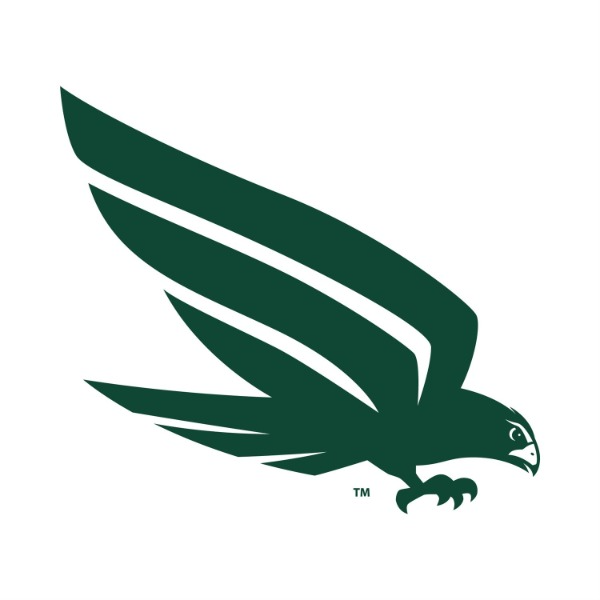 SVYFCA - 4th Grade Falcons