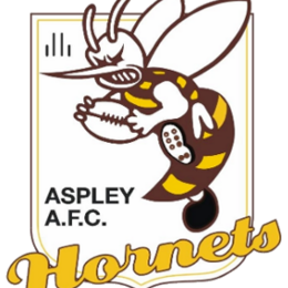 Aspley Hornets
