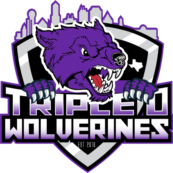 2024 (12u )TRIPLE D WOLVERINES 12U