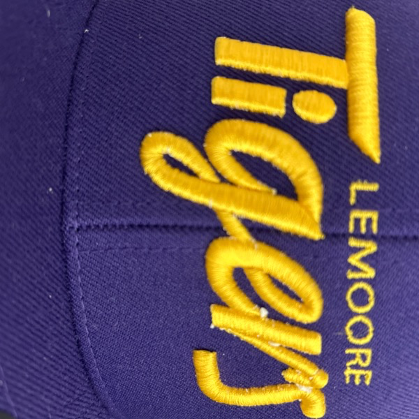 Lemoore youth football 10U Purple