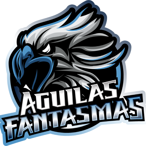 Loudoun South Eagles 12u