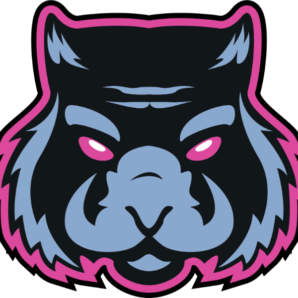 Carolina Wombats- 12U Cogan