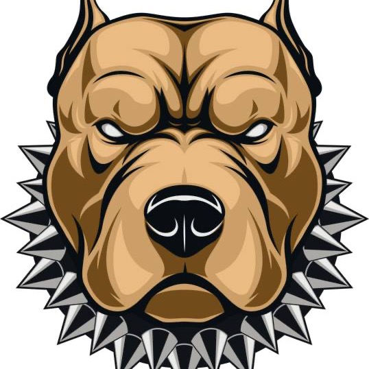 Mississippi UnderDogs