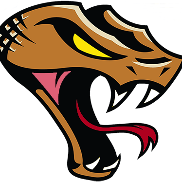 Tri county 12u copperheads